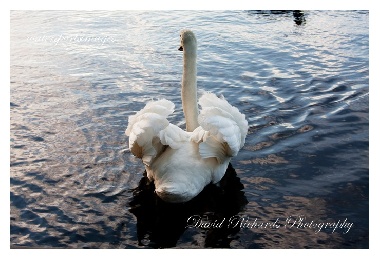 SYS30134 - "Lakes 040"